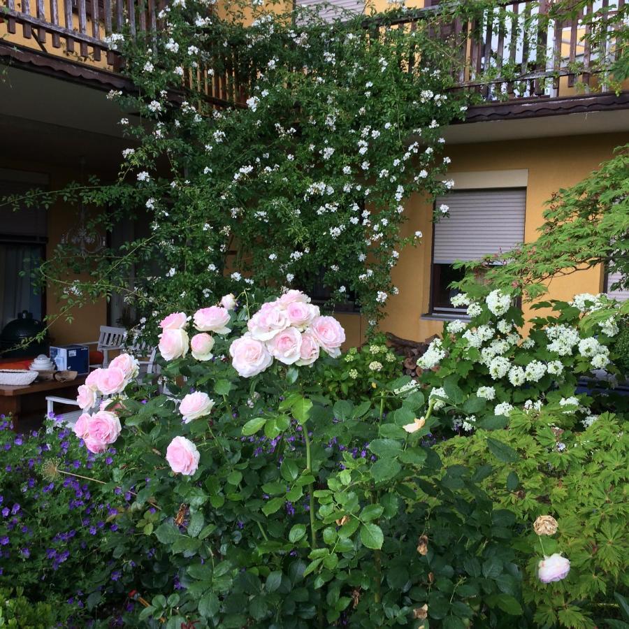 Landhaus Grete 滨湖施图本贝格 外观 照片